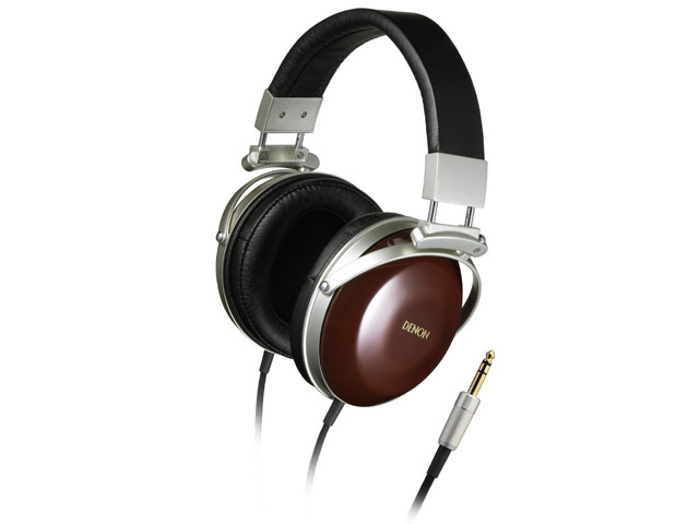 Panasonic RP-HTF295E-K Auriculares de Diadema Cerrados, Cable Largo, Sonido  Hi-Fi, Aislamiento de Ruido