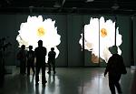 IMG 0049