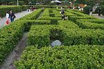 IMG 0123