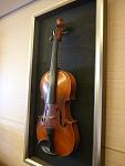 violin