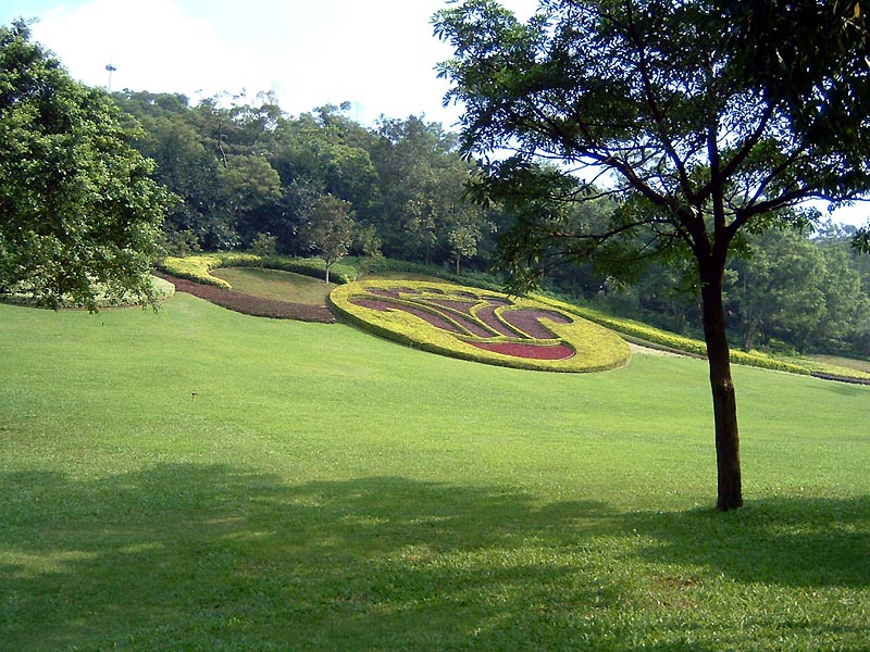 DSCF0111a