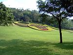 DSCF0111a
