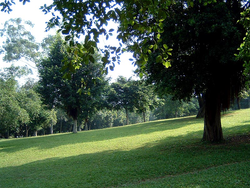 DSCF0009a