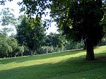 DSCF0009a