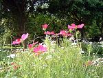DSCF0002a