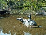 DSCF0037a