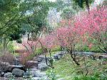 DSCF0063a
