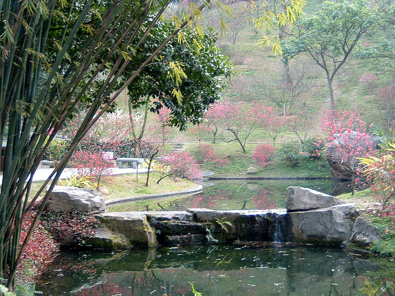 DSCF0068a