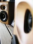 TIS custom soundboard mastering speaker