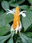 DSCF0077a