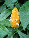 DSCF0078a