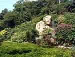 DSCF0146a