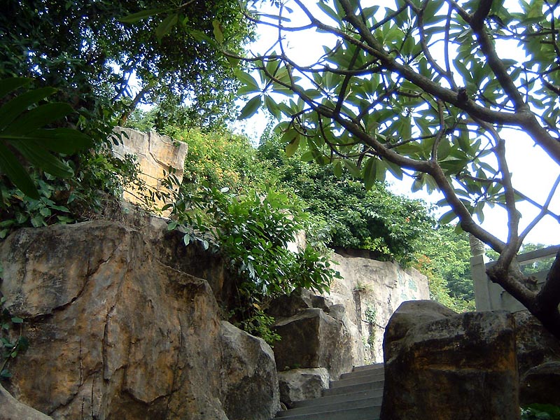 DSCF0172a