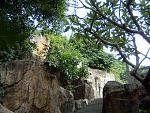 DSCF0172a