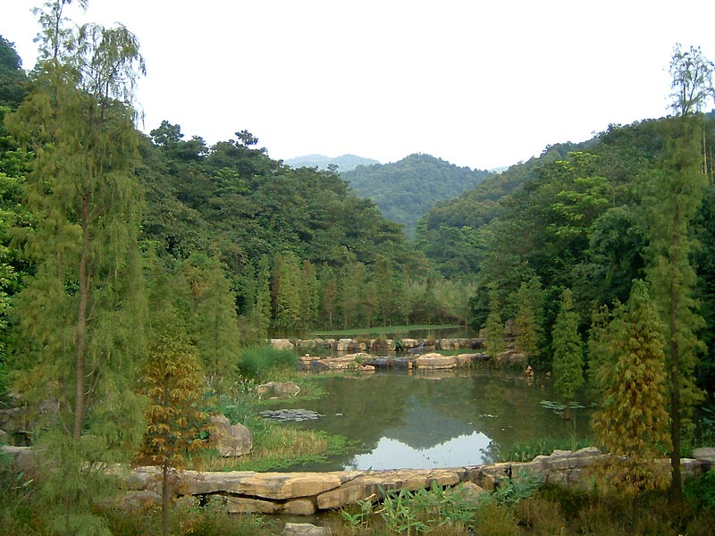 DSCF0260a