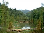 DSCF0260a