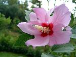 DSCF0249a