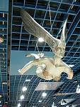 DSCF0170a