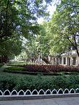 DSCF0104a