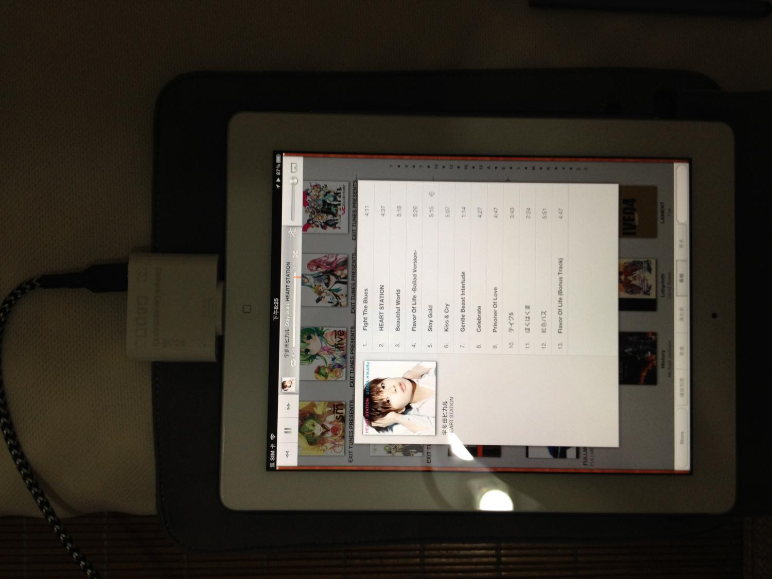 New iPad+Camera Connection Kit +Fubar 3