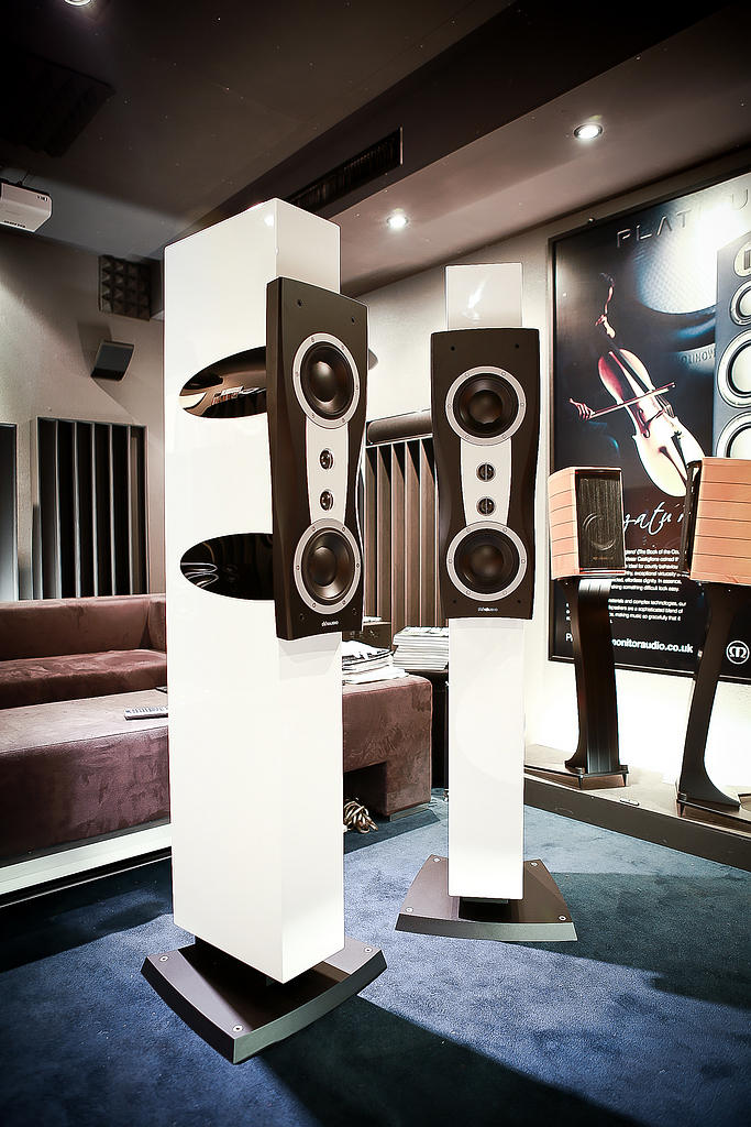 DYNAUDIO Confidence ll (6)