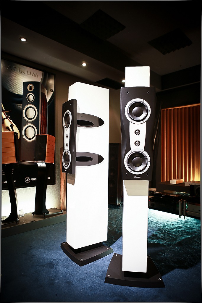 DYNAUDIO Confidence ll (7)