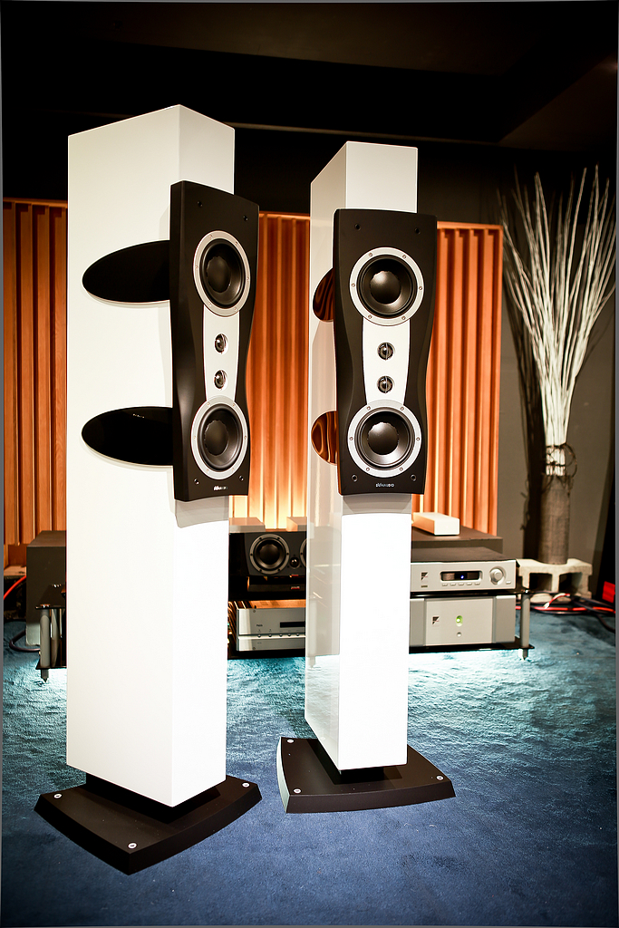DYNAUDIO Confidence ll (8)