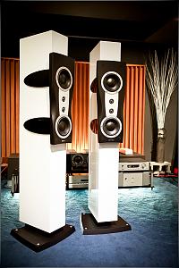 DYNAUDIO Confidence ll (8)