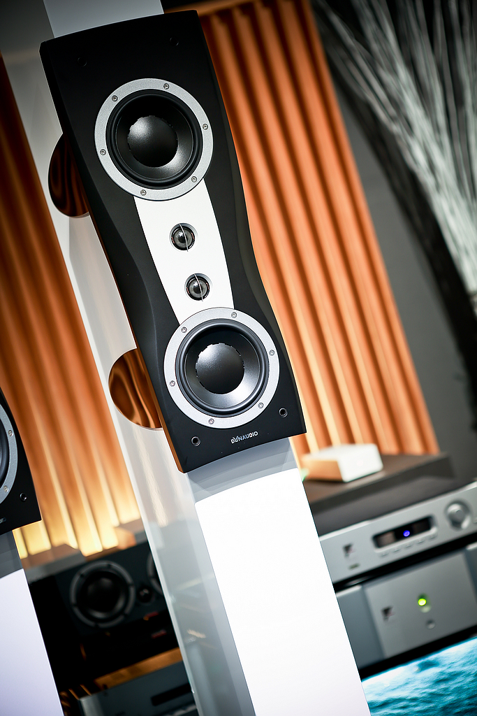 DYNAUDIO Confidence ll (9)