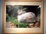 DSCF0177a