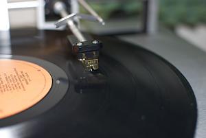 DSC 0036