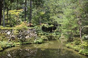 IMG 7395