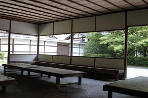 IMG 7459