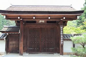 IMG 7483