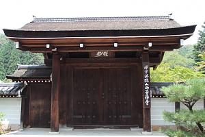 IMG 7489