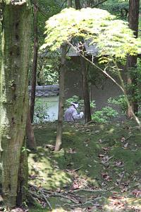 IMG 7492