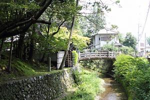 IMG 7496