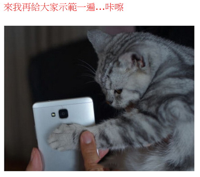 名稱:  daily002476.jpg
瀏覽次數: 611
文件大小:  60.4 KB