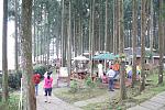 2008 7 7 上午 08 12 49 0400