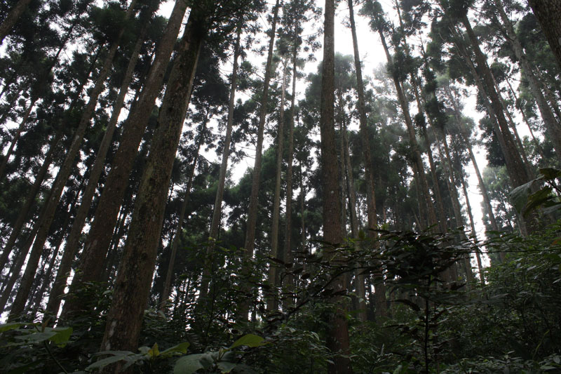 2008 7 7 上午 08 13 03 0407
