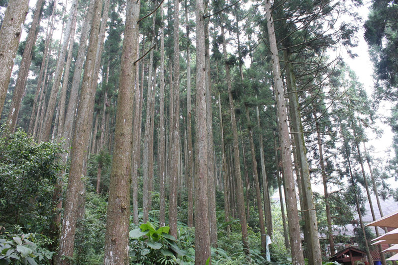 2008 7 7 上午 08 14 15 0437