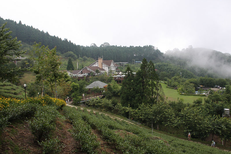 2008 7 7 上午 08 14 27 0442
