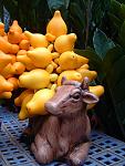DSCF0008a