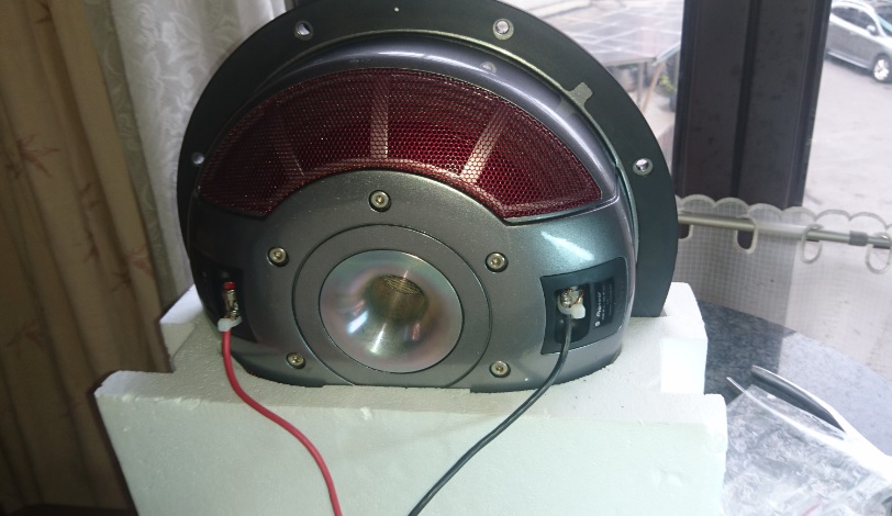 Pioneer Champion TS-W3001S4 12-inch Shallow Woofer