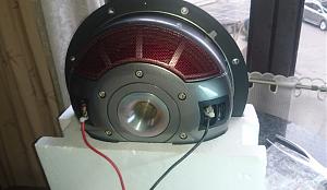 Pioneer Champion TS-W3001S4 12-inch Shallow Woofer