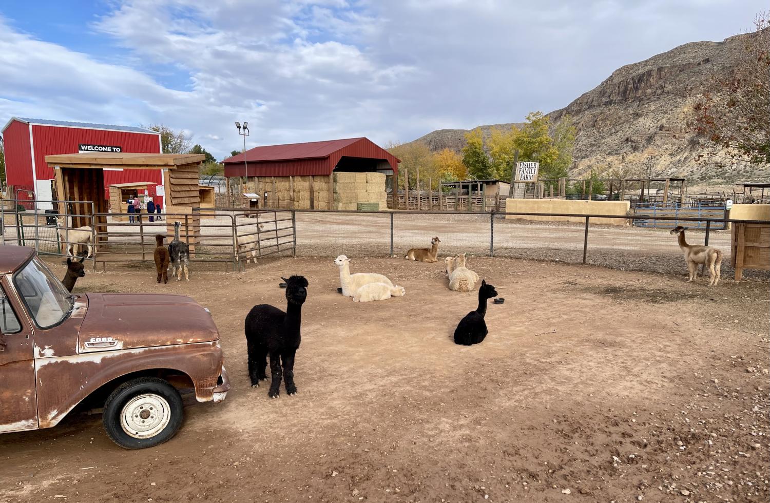 名稱:  IMG_0864.jpg
瀏覽次數: 16
文件大小:  280.8 KB