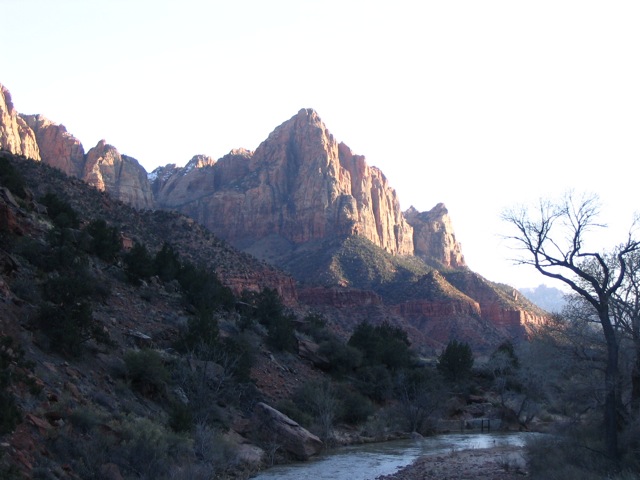 IMG 3661