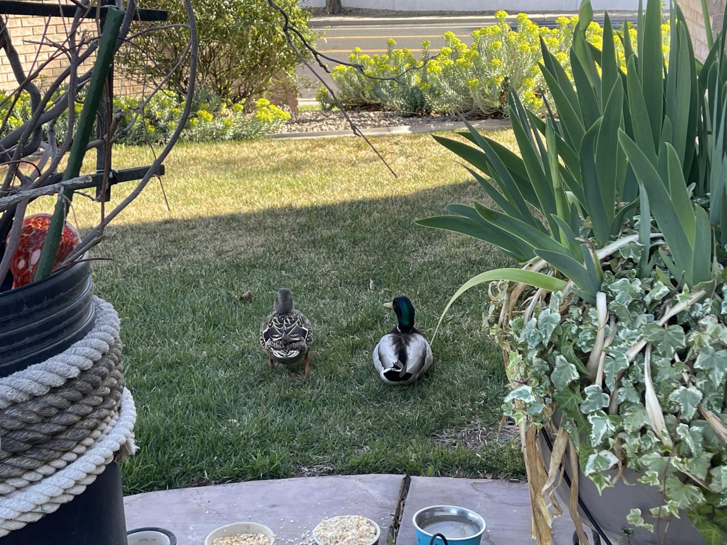 名稱:  IMG_1248.jpg
瀏覽次數: 4
文件大小:  370.3 KB