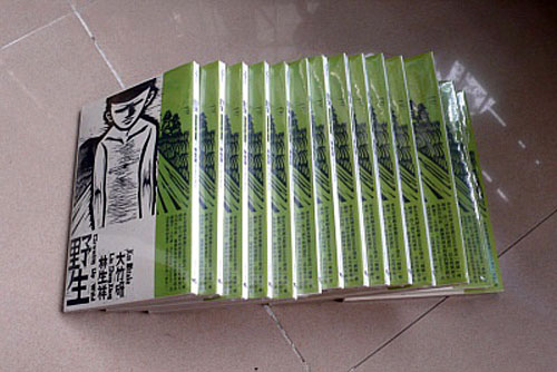 野生3a