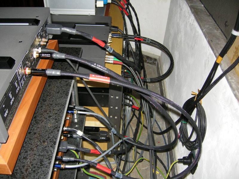 DSCN3787